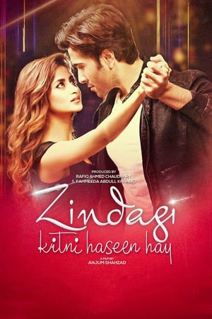 Zindagi Kitni Haseen Hay (2016) Pakistani Movie | Hindi Dubbed Movie HDRip x264 [980MB]